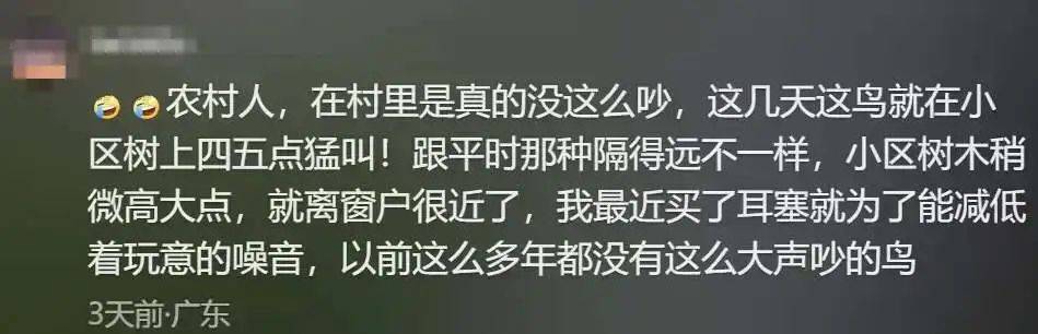 “周末想睡个懒觉都不行”<strong></p>
<p>币安火币中币</strong>，有多少深圳人被这种鸟吵到神经衰弱