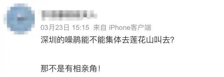 “周末想睡个懒觉都不行”<strong></p>
<p>币安火币中币</strong>，有多少深圳人被这种鸟吵到神经衰弱