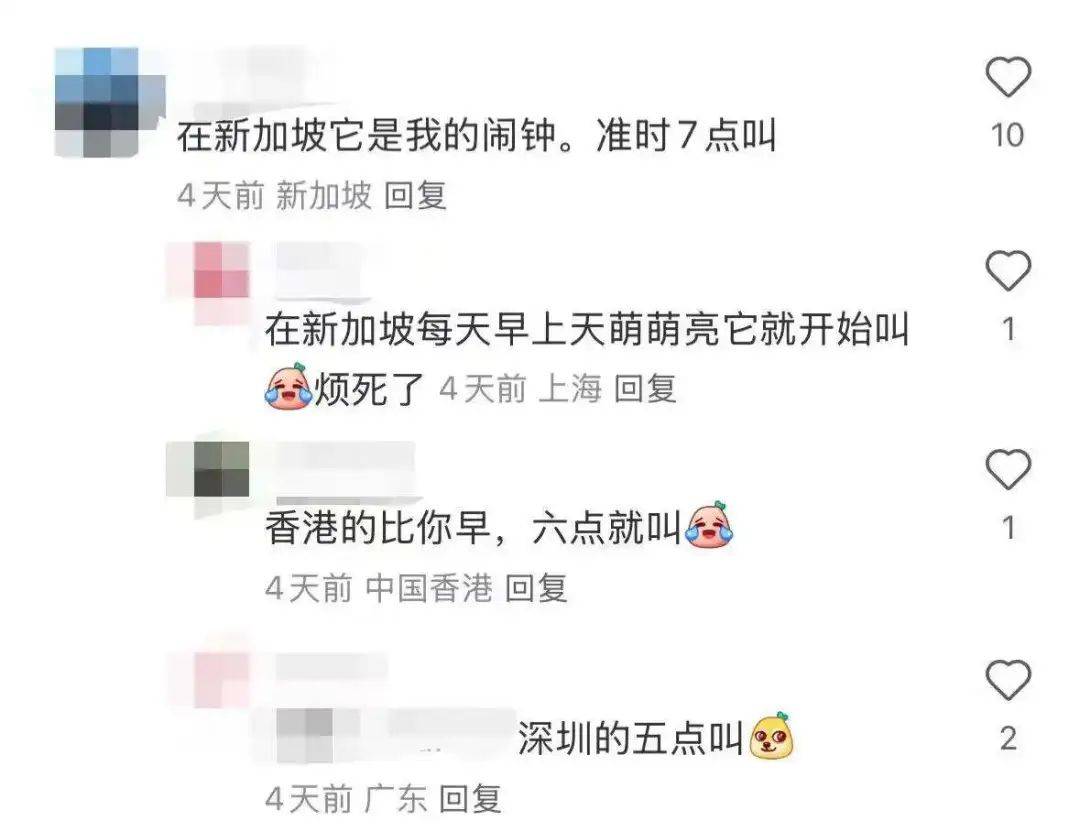 “周末想睡个懒觉都不行”<strong></p>
<p>币安火币中币</strong>，有多少深圳人被这种鸟吵到神经衰弱