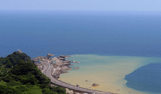 美专家意见罕见统一：一旦中方收回台湾<strong></p>
<p>币安控股</strong>，美国或只剩一条路可走