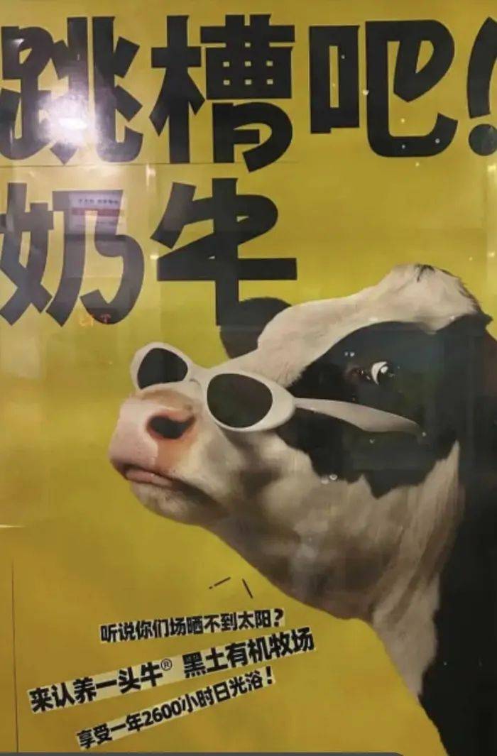 认养一头牛广告被质疑讽刺打工人<strong></p>
<p>币安控股</strong>，公司回应：致敬BOSS直聘