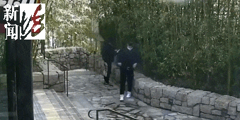太猖狂！事发上海迪士尼<strong></p>
<p>币安官方网址</strong>，7人被刑拘