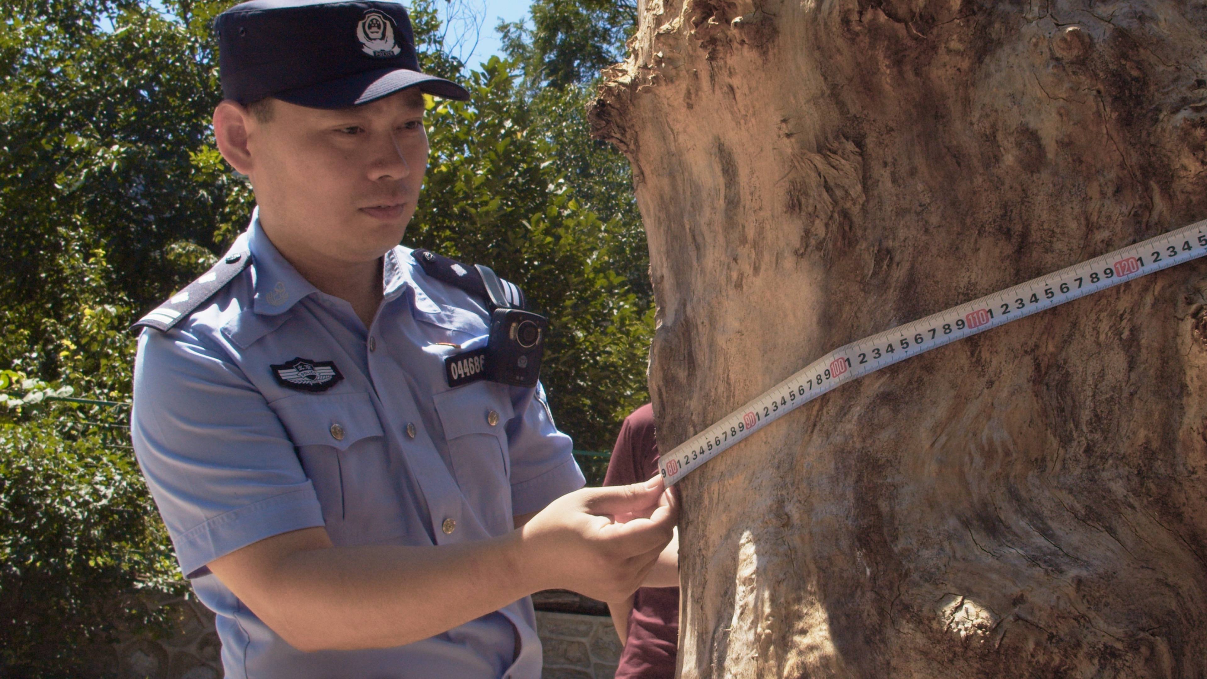 森林警察韩孟祺：乔装成驴友潜伏密林中<strong></p>
<p>币安宝钱包</strong>，抓获“粘鸟”嫌疑人