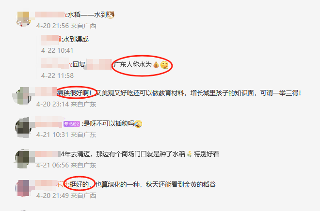 谁种的？东莞闹市区绿化带惊现水稻<strong></p>
<p>币安宝钱包</strong>，网友化身福尔摩斯来探案，家居广场：商户提的建议