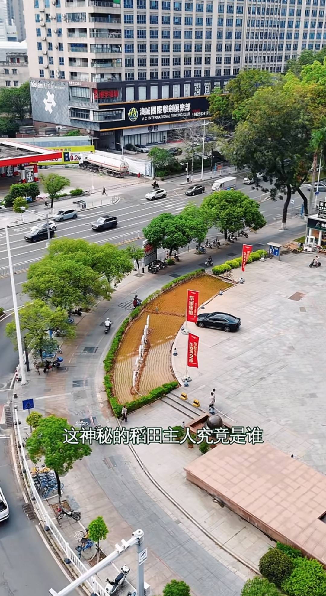 谁种的？东莞闹市区绿化带惊现水稻<strong></p>
<p>币安宝钱包</strong>，网友化身福尔摩斯来探案，家居广场：商户提的建议