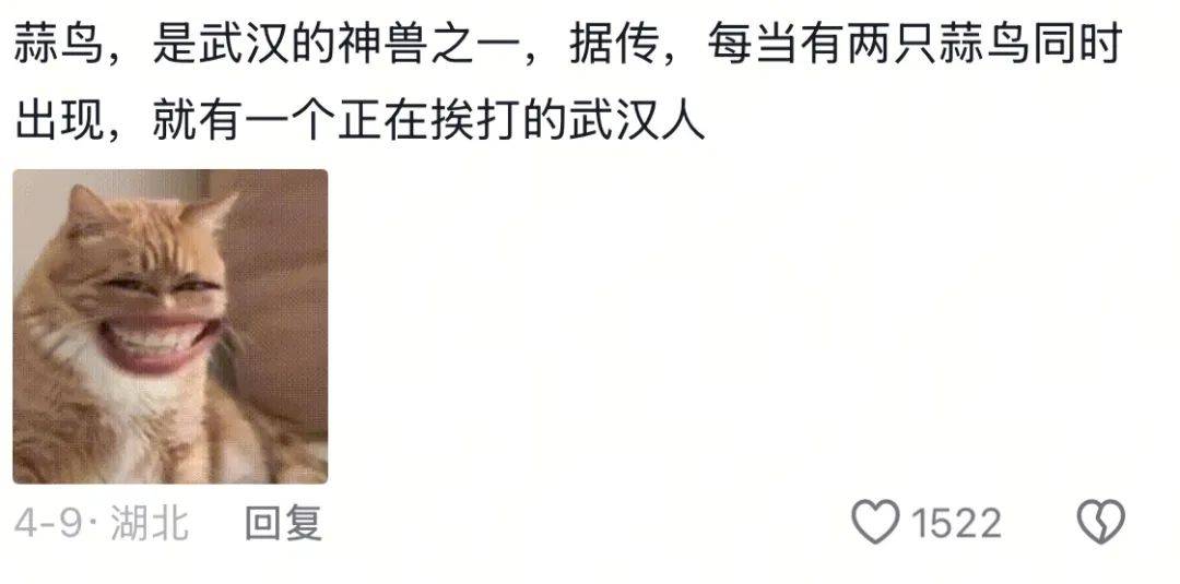武汉话“蒜鸟”<strong></p>
<p>狗币钱包安卓</strong>，最近劝（添）架（乱）唯一指定用语
