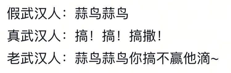武汉话“蒜鸟”<strong></p>
<p>狗币钱包安卓</strong>，最近劝（添）架（乱）唯一指定用语