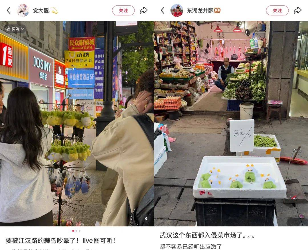 武汉话“蒜鸟”<strong></p>
<p>狗币钱包安卓</strong>，最近劝（添）架（乱）唯一指定用语