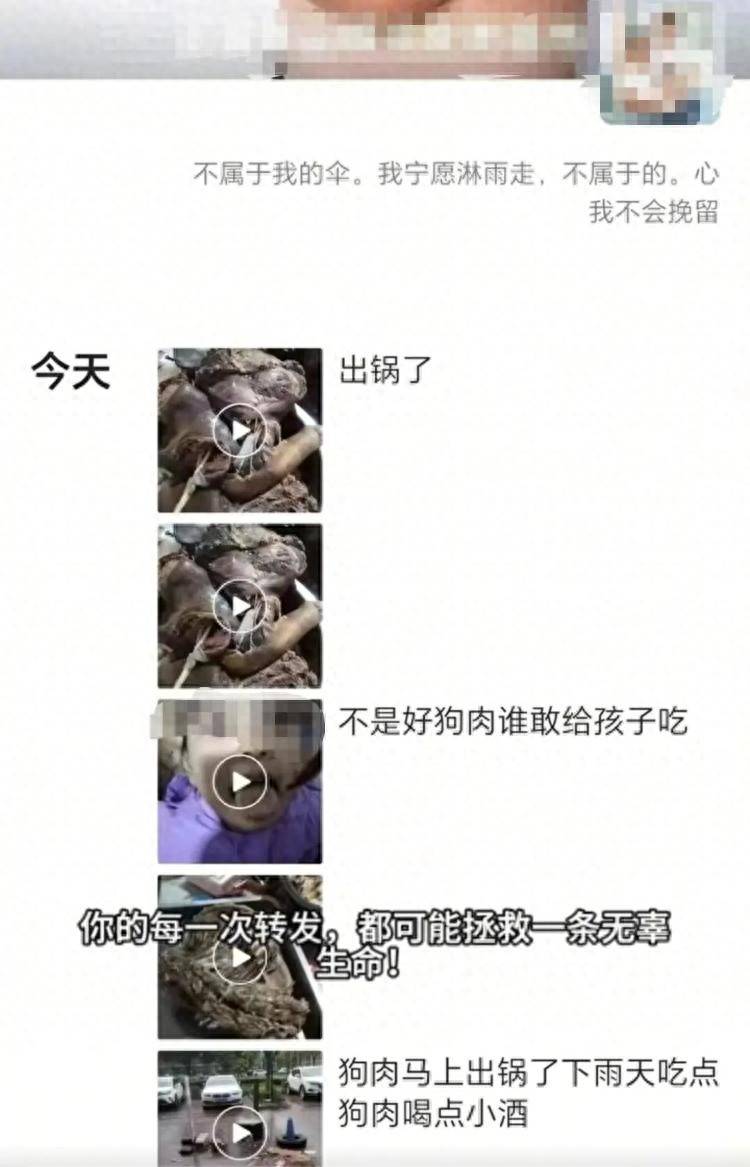 沈阳一店铺老板假借领养名义烹食流浪狗<strong></p>
<p>狗币钱包安卓</strong>，警方：正在研讨处置
