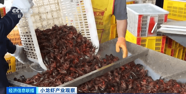 价格暴跌近50%<strong></p>
<p>币安pos</strong>！“接下来还会降”！青岛正大量上市……