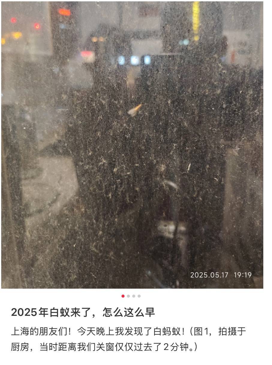 紧急提醒：瞬间爆发！上海市民崩溃：密密麻麻<strong></p>
<p>币安tbc</strong>，蠕蠕爬行...“梧桐区”已开始战斗，白蚁或提前分飞