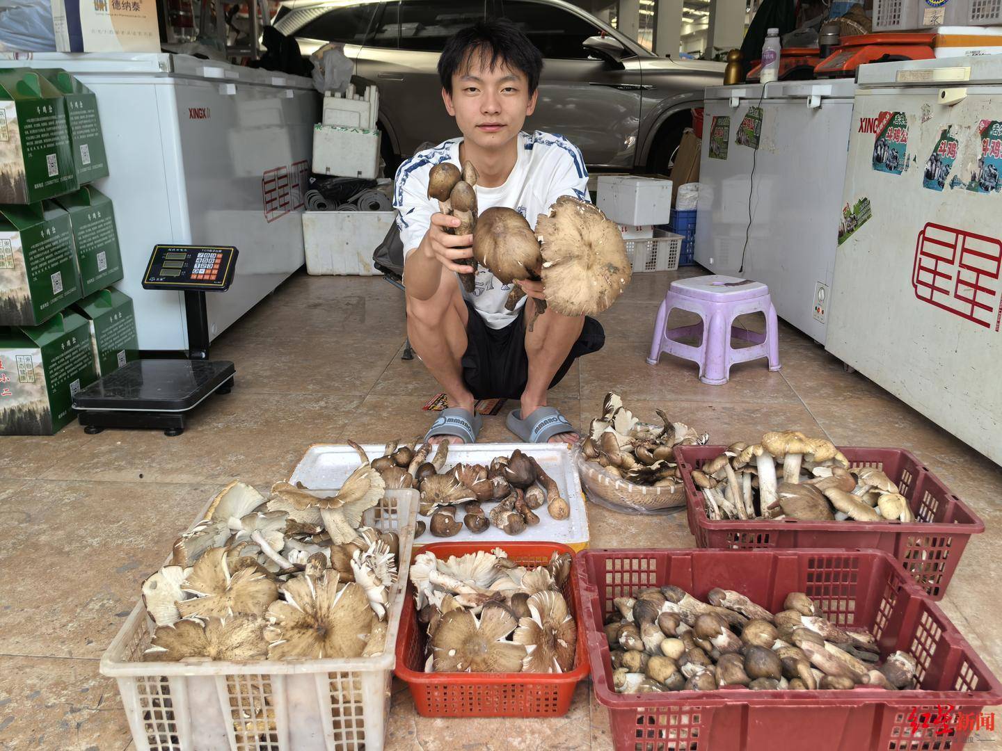 “天价”鸡枞调查：最贵卖到1800元/公斤！雨水少致产量低<strong></p>
<p>币安合约上线</strong>，多地价高客少