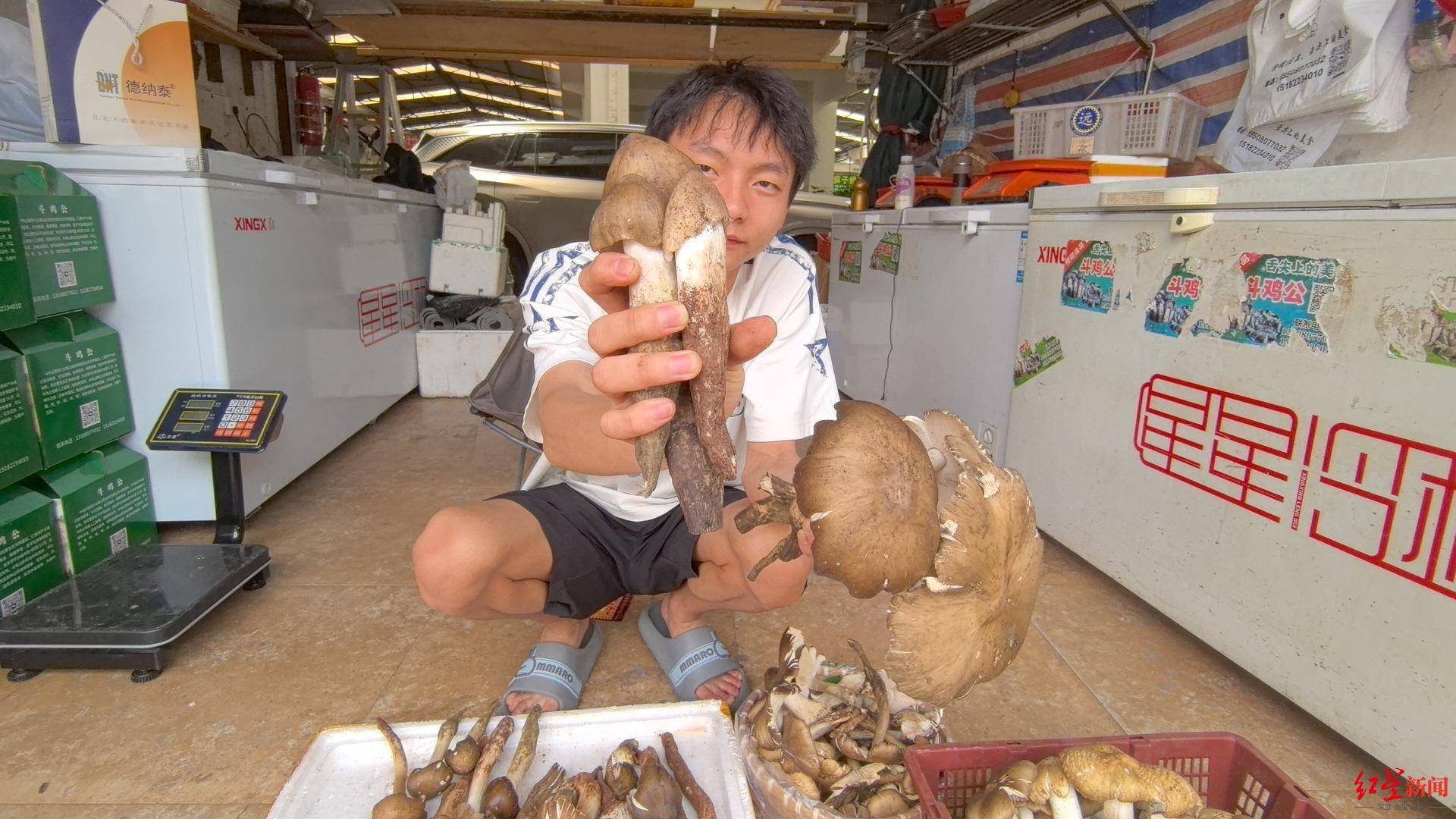“天价”鸡枞调查：最贵卖到1800元/公斤！雨水少致产量低<strong></p>
<p>币安合约上线</strong>，多地价高客少
