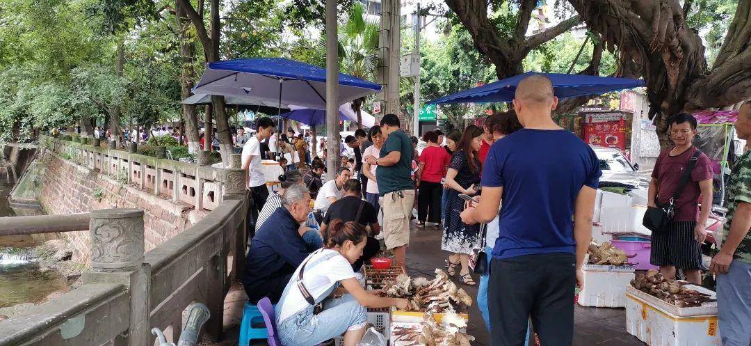 “天价”鸡枞调查：最贵卖到1800元/公斤！雨水少致产量低<strong></p>
<p>币安合约上线</strong>，多地价高客少