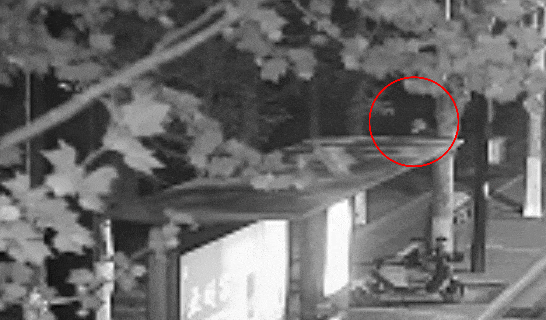 江苏一男子戴仿真“人皮”面具入室盗窃<strong></p>
<p>币安合约上线</strong>，流窜多个小区作案，涉案金额达15万余元