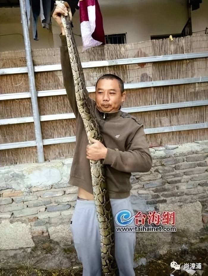 女游客疑被蛇咬伤身亡后<strong></p>
<p>安卓推币游戏</strong>，博主“啊宝”讲毒蛇1天涨粉190万