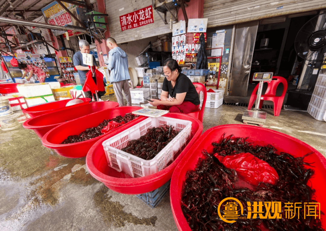 价格腰斩<strong></p>
<p>币安交易所商家</strong>！13元/斤！南昌正大量上市