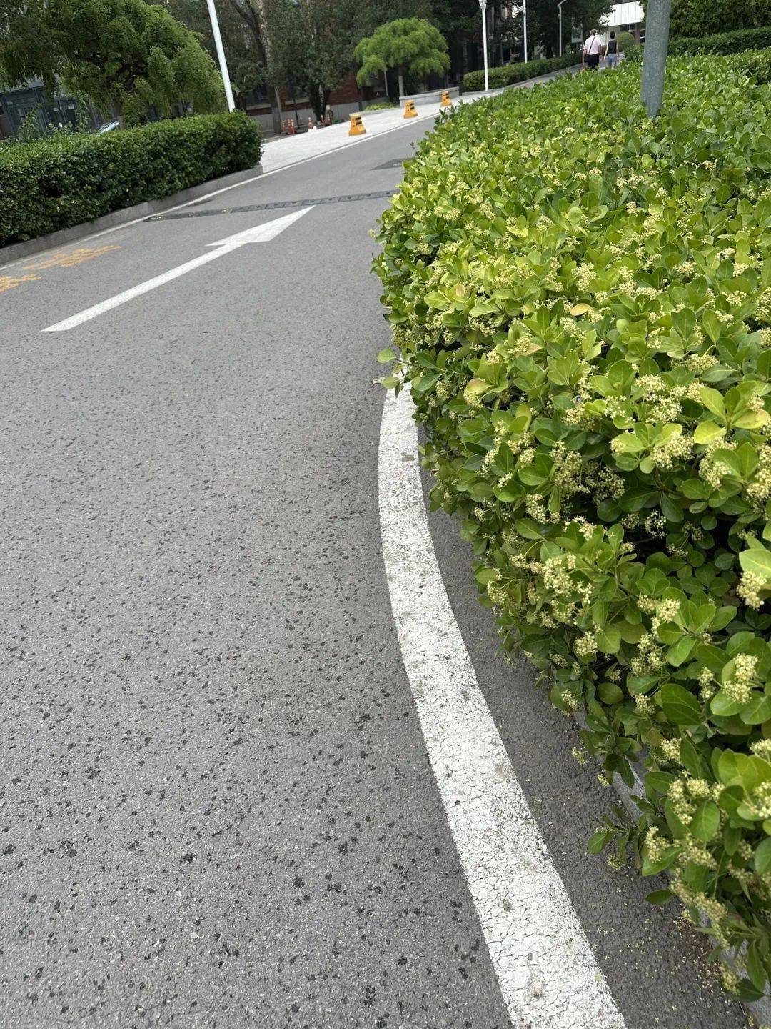 下雨了<strong></p>
<p>币安公链技术</strong>！天津接下来十天都是……