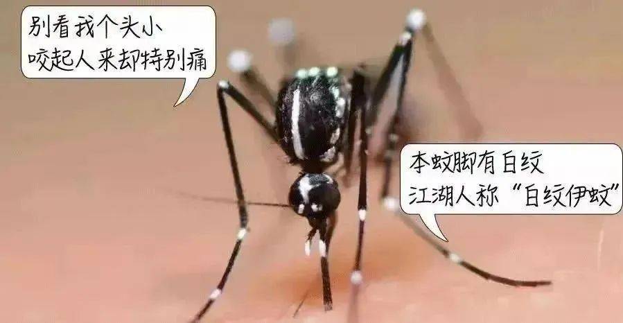 风险增大<strong></p>
<p>币安卖矿机</strong>！深圳疾控：去这247处要小心！张文宏首次发声