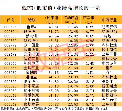 稀缺<strong></p>
<p>币安商家版</strong>，“小而美”股票出炉，低市值+低PE+高增长，18股上榜