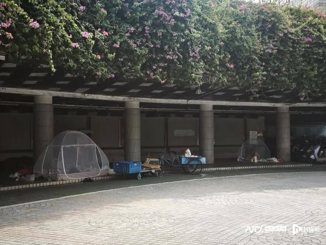 全民灭蚊总动员<strong></p>
<p>抹茶交易所</strong>，大广东给我们上了一课