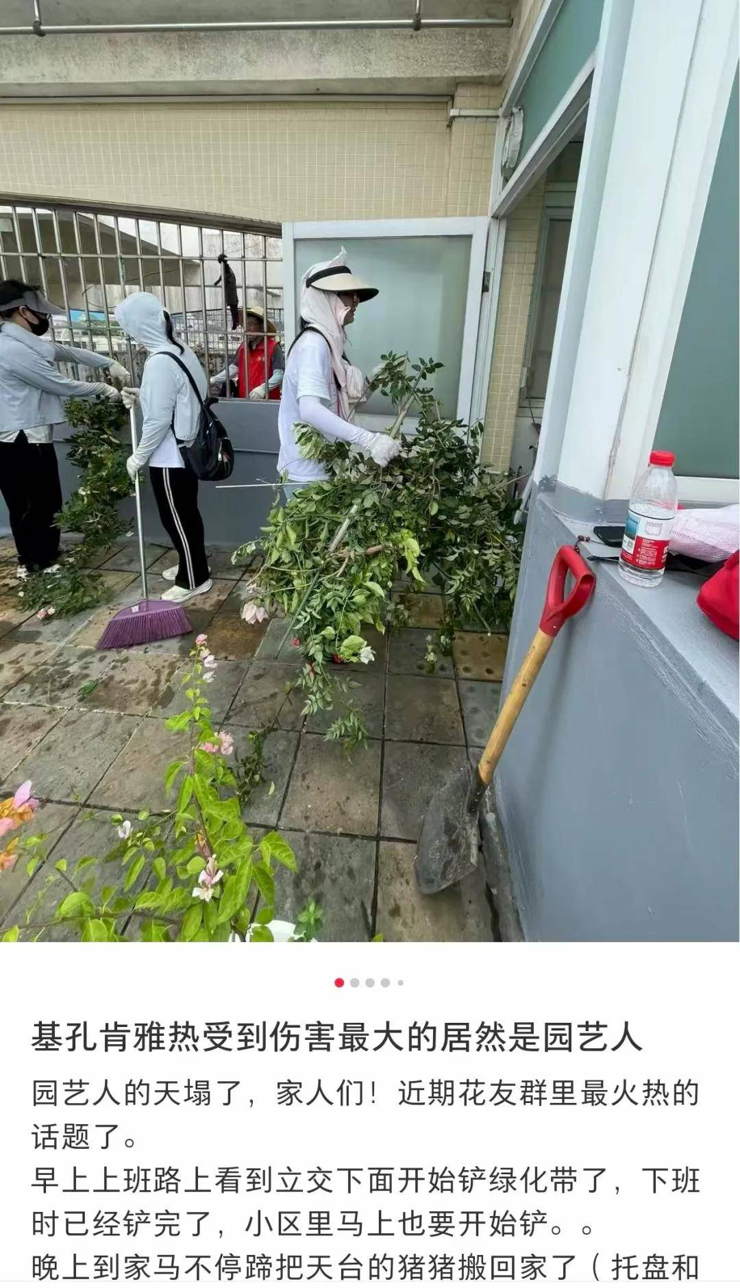 全民灭蚊总动员<strong></p>
<p>抹茶交易所</strong>，大广东给我们上了一课