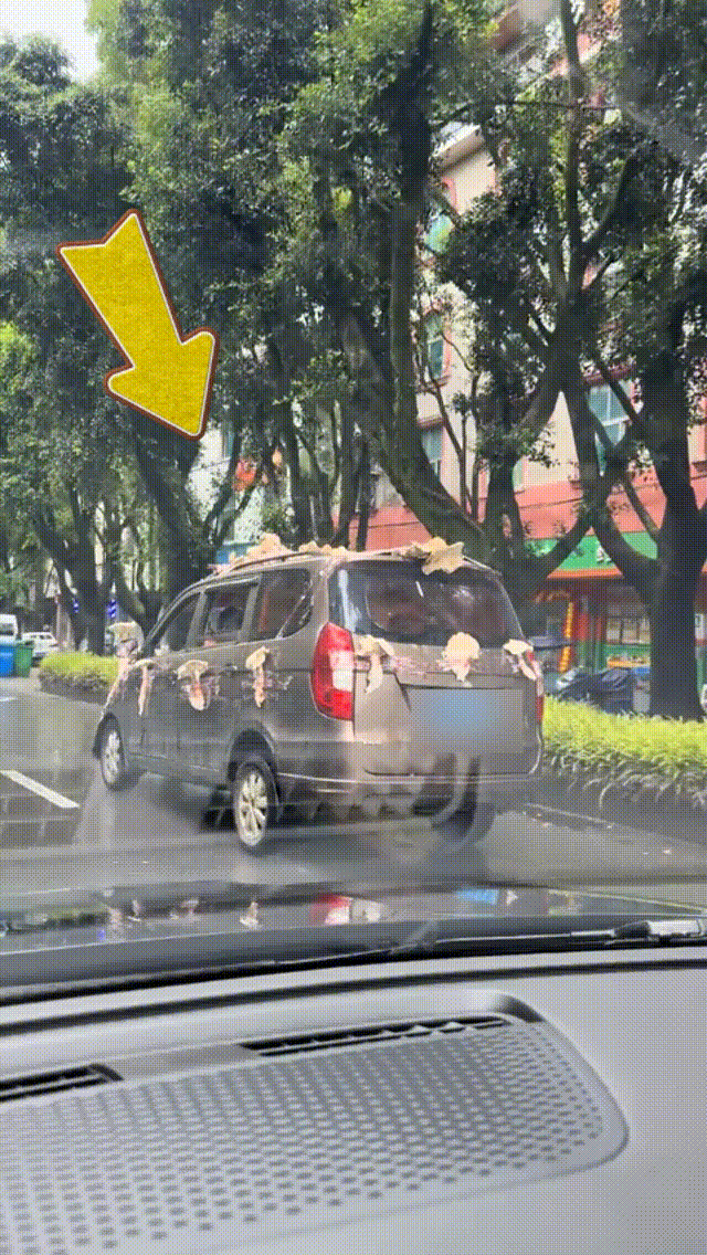 男子驾驶“鸡枞战车”满街跑<strong></p>
<p>抹茶交易所</strong>，交警紧急叫停！