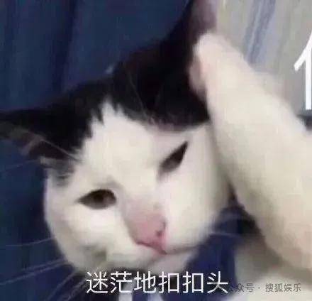 离婚三年又被拍到亲密逛超市<strong></p>
<p>交易所app下载</strong>，他俩这是纯带娃还是真复合了？