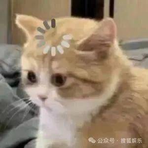 离婚三年又被拍到亲密逛超市<strong></p>
<p>交易所app下载</strong>，他俩这是纯带娃还是真复合了？