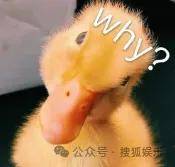从爆红到突然消失好几年<strong></p>
<p>抹茶交易所app官网</strong>，再出现已经胖到大家不敢认了？
