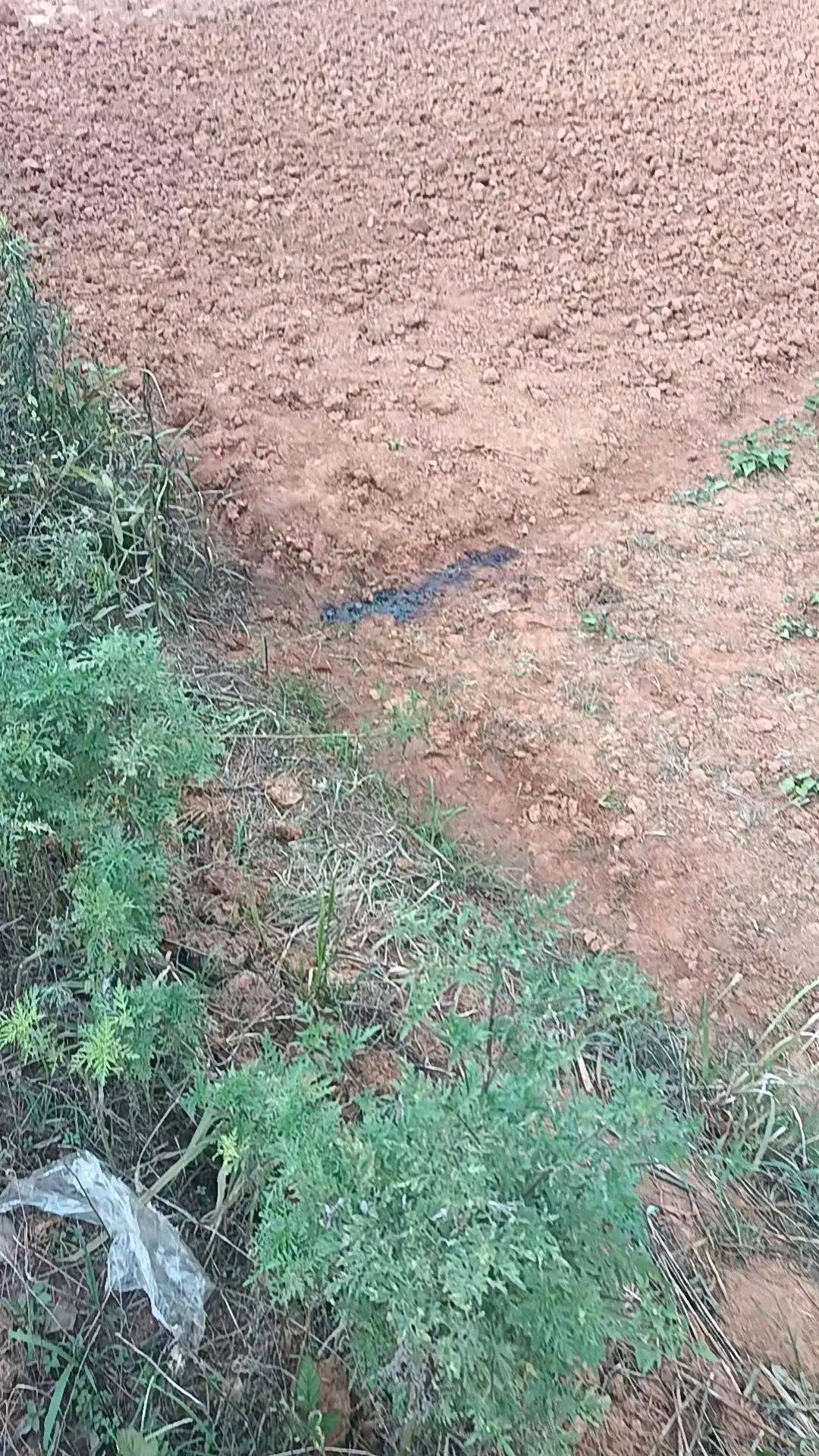 工人被误当猎物枪击身亡<strong></p>
<p>抹茶交易所app官网</strong>，警方通报：屈某某、罗某某被刑拘