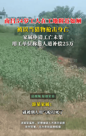 54岁农民工在工地附近如厕被气枪击杀<strong></p>
<p>抹茶交易所app官网</strong>，肇事者自首，用工单位愿补偿25万，家属发声
