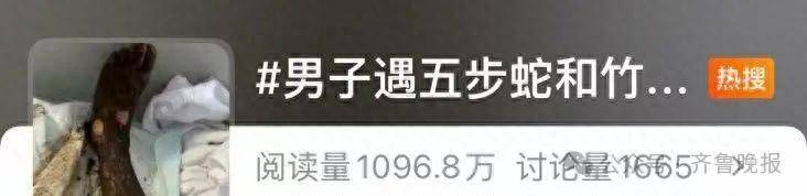 安徽宣城一男子走路玩手机<strong></p>
<p>抹茶交易所钱包注册</strong>，一脚踩中打架的竹叶青和五步蛇，被俩毒蛇咬3口！医院：暂无生命危险，正在治疗