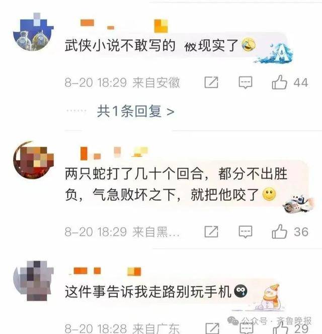 安徽宣城一男子走路玩手机<strong></p>
<p>抹茶交易所钱包注册</strong>，一脚踩中打架的竹叶青和五步蛇，被俩毒蛇咬3口！医院：暂无生命危险，正在治疗