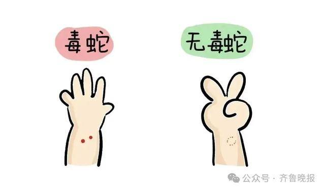 安徽宣城一男子走路玩手机<strong></p>
<p>抹茶交易所钱包注册</strong>，一脚踩中打架的竹叶青和五步蛇，被俩毒蛇咬3口！医院：暂无生命危险，正在治疗