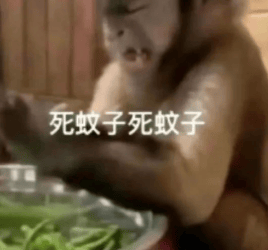 能不能让蚊子彻底灭绝啊<strong></p>
<p>抹茶交易所钱包注册</strong>？科学家：正在努力