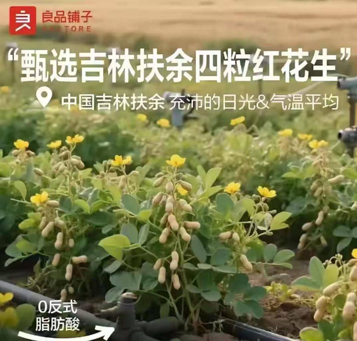 良品铺子的花生“长在树上”<strong></p>
<p>抹茶交易所如何加杠杆</strong>，不只是没常识