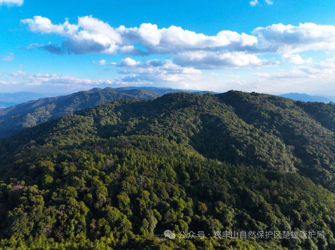 云南哀牢山新规出台：禁止任何单位和个人擅入哀牢山自然保护区<strong></p>
<p>热币交易所</strong>，从事科研活动须报批