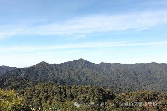 云南哀牢山新规出台：禁止任何单位和个人擅入哀牢山自然保护区<strong></p>
<p>热币交易所</strong>，从事科研活动须报批