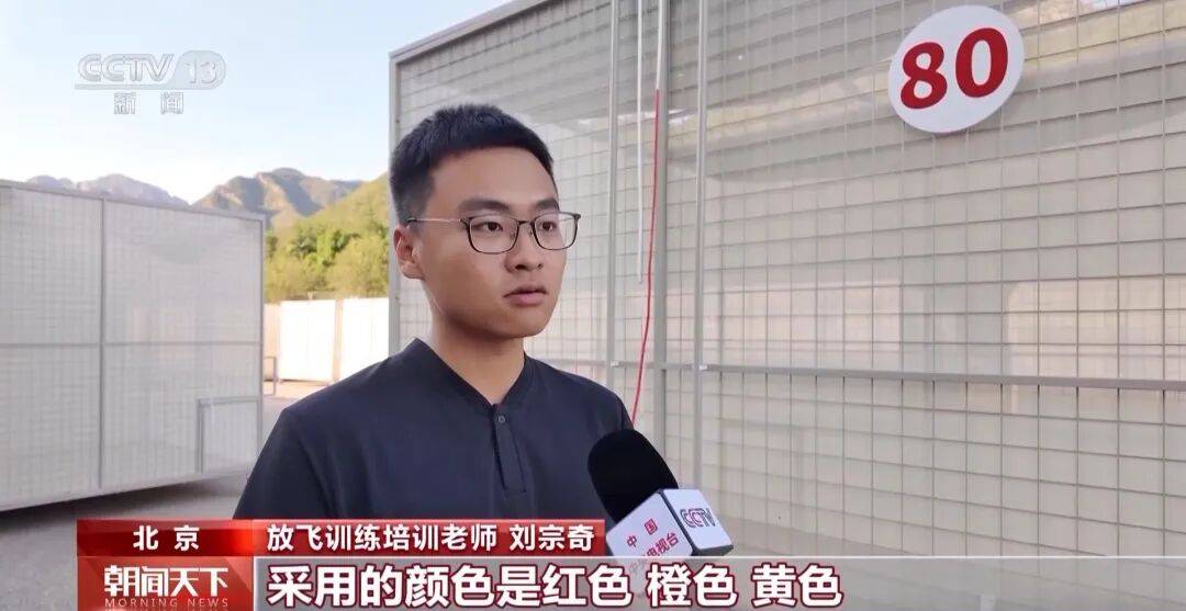 明天将放飞8万羽和平鸽、8万只气球<strong></p>
<p>热币交易所</strong>，揭秘！
