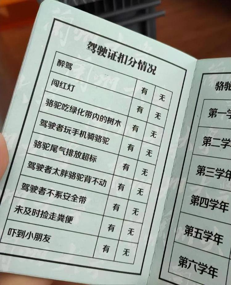 一人一驼<strong></p>
<p>热币交易所</strong>，骆驼尾气排放超标要扣分？兰大回应学生持证骑骆驼上学：骆驼驾驶证为学校文创，非官方证件