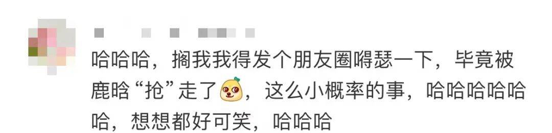 鹿晗拿走路人莲子误以为是粉丝礼物<strong></p>
<p>热币交易所</strong>，当事人：请好好享用，希望鹿哥吃得开心！