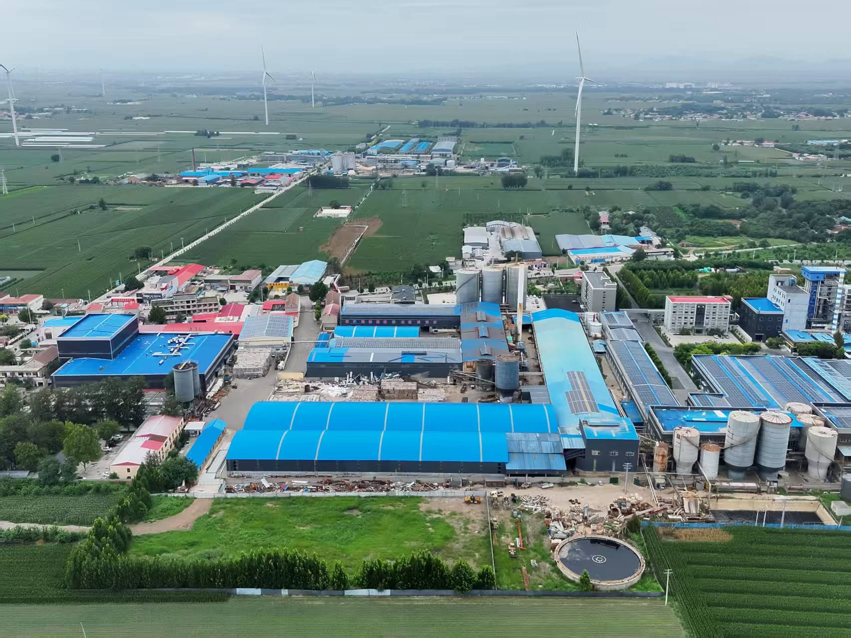 河北柏乡:造纸厂污水外排大片农作物致死引关注<strong></p>
<p>交易所大概多长时间到账</strong>！