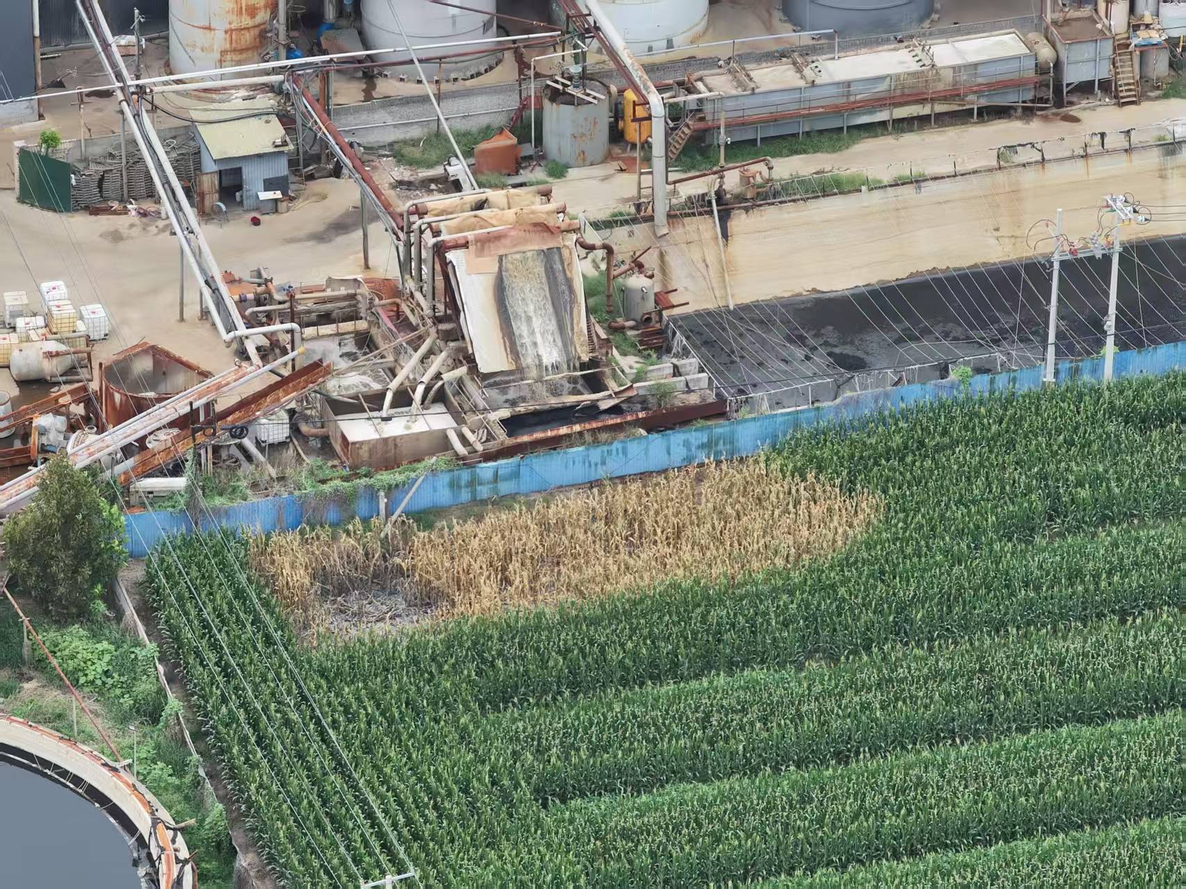 河北柏乡:造纸厂污水外排大片农作物致死引关注<strong></p>
<p>交易所大概多长时间到账</strong>！