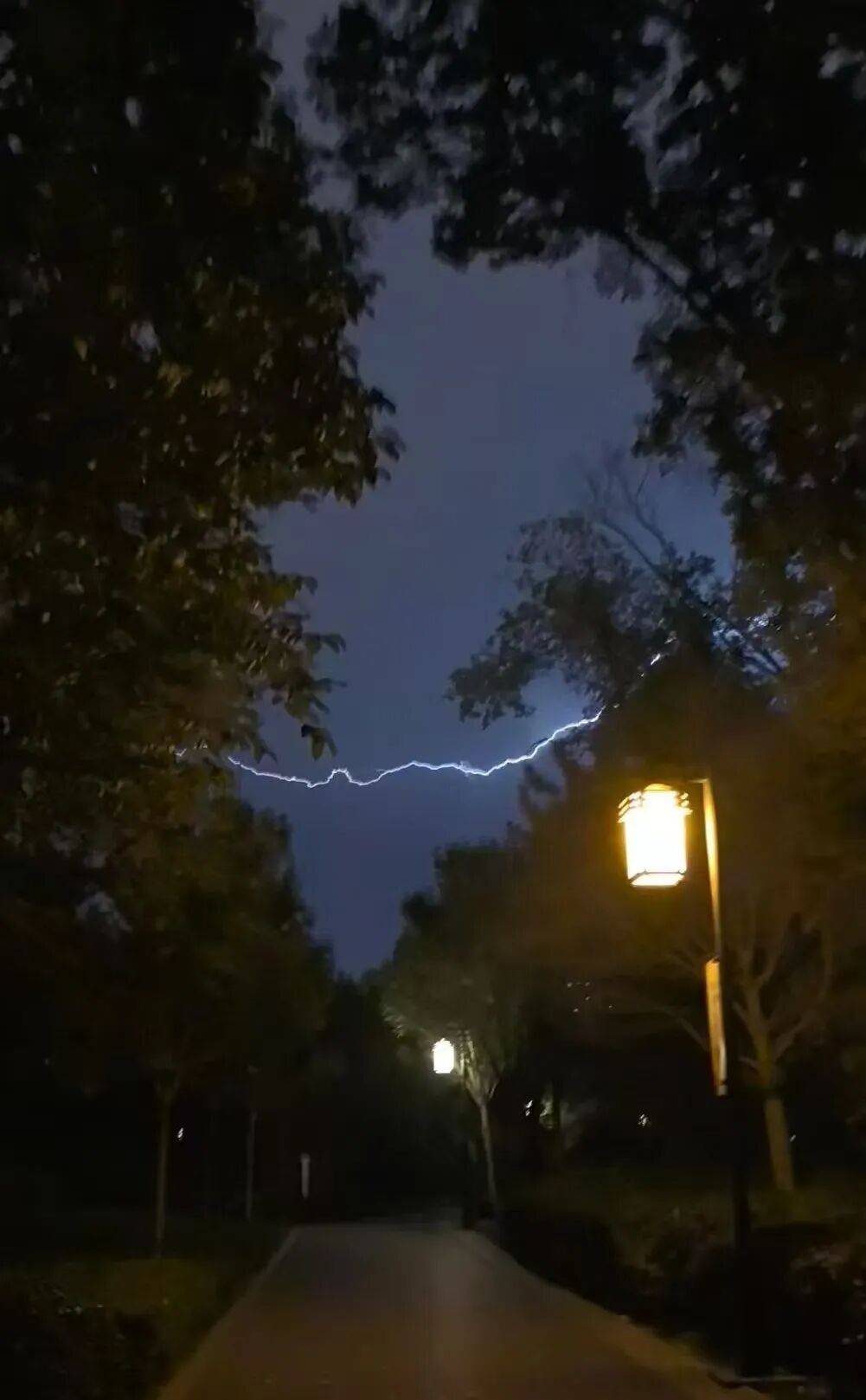 知名女主持人自曝：我雷暴哮喘了！太原这家医院急诊数小时内曾接诊400多人<strong></p>
<p>mxc抹茶交易所地址官网</strong>，近期高发