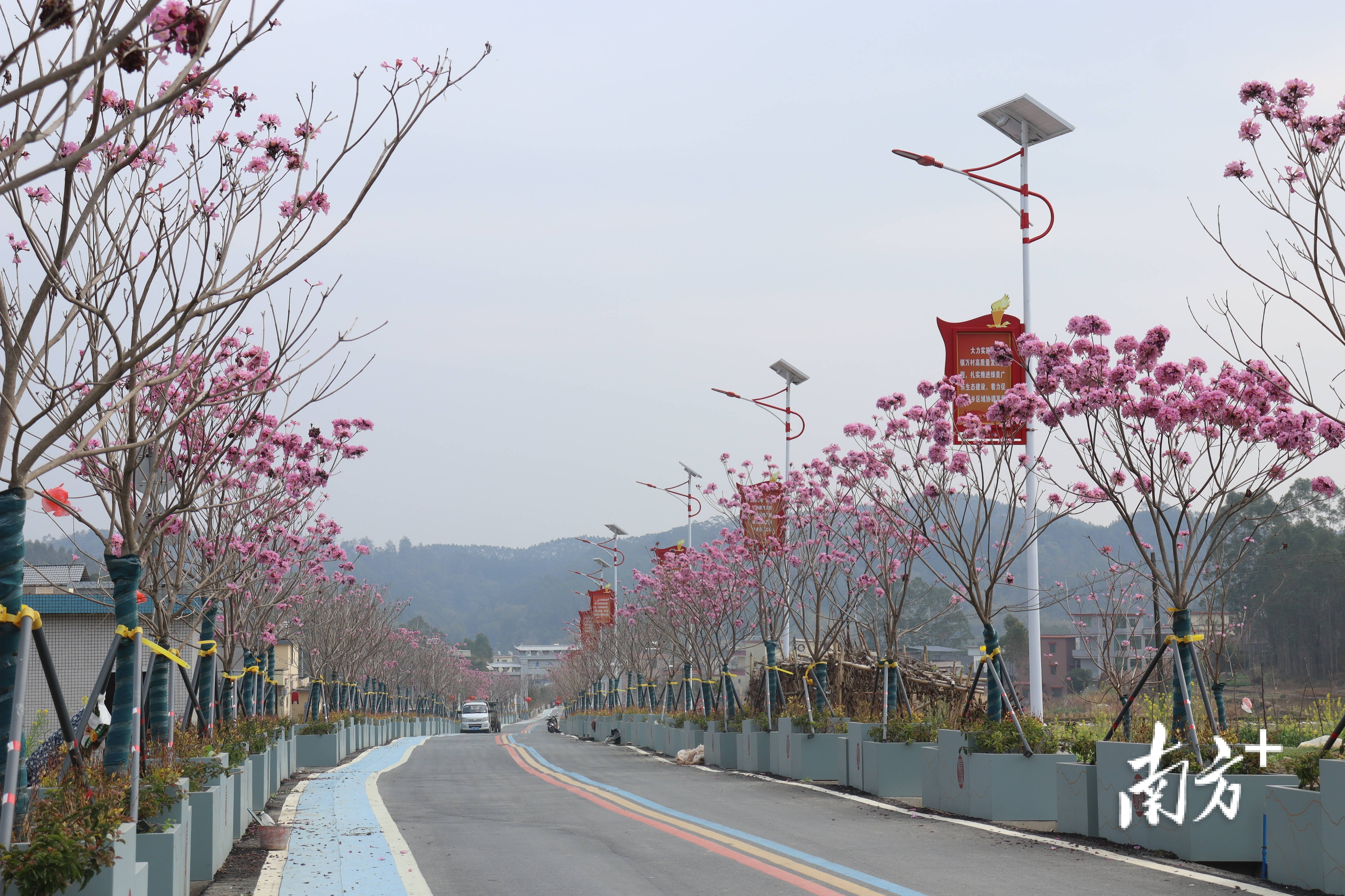 “外来媳妇”谭焕贞五年深耕<strong></p>
<p>交易所app创始人</strong>，佛冈高岗宝山村换新貌