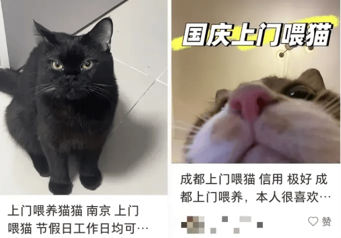 这个需求激增！一男子连接270单<strong></p>
<p>越南抹茶交易所</strong>，其中一笔收费8100元