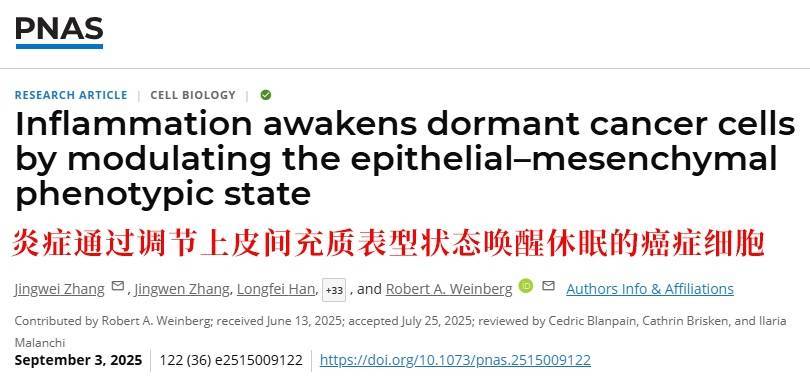 长期炎症会“唤醒”癌细胞<strong></p>
<p>越南抹茶交易所</strong>！这份抗炎指南每个人都该看看