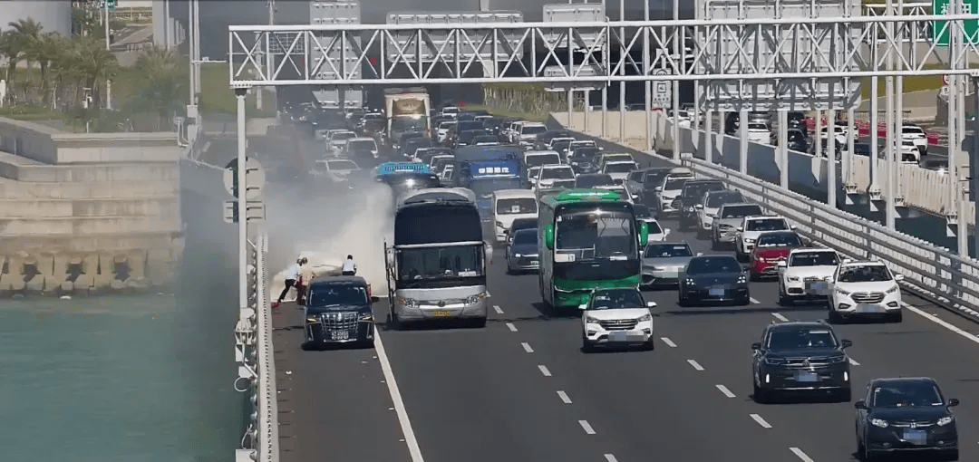 粤B·97821D、粤Z·AG85澳、粤T·91736<strong></p>
<p>越南抹茶交易所</strong>，你们被拍下来了！