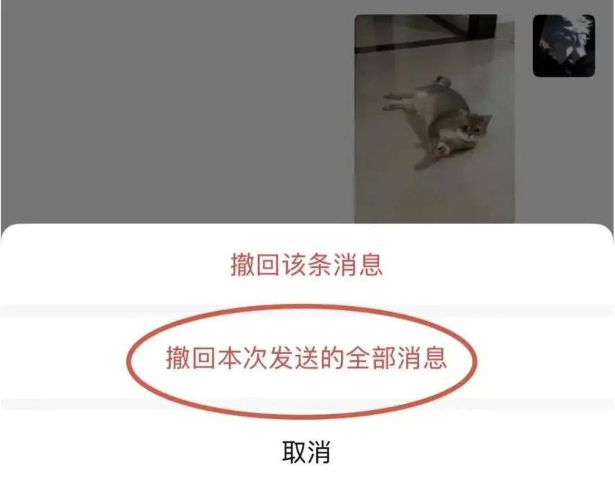 传宗馥莉被带走<strong></p>
<p>抹茶交易所</strong>，娃哈哈董事会成员回应；资深天使投资人因车祸不幸离世；微信灰度测试一次性撤回全部消息；鸡排哥疑似成立工作室丨邦早报